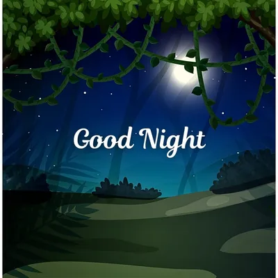 Good Night or Goodnight: What's the Difference?