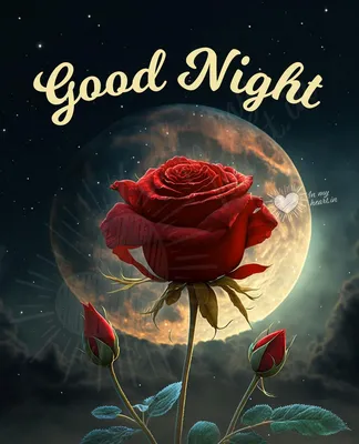 Good Night...Happy Dreamzz... | Good night funny, Good night friends, Good  night sweet dreams