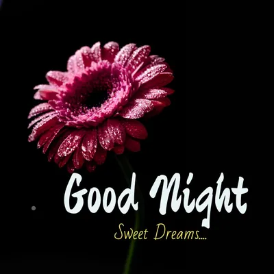 Good Night Images | New Good Night photo wishes love Download