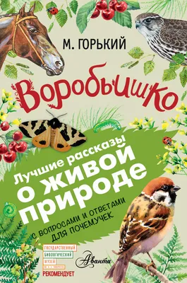 Воробьишко и другие сказки (Максим Горький) - купить книгу с доставкой в  интернет-магазине «Читай-город». ISBN: 978-5-43-150082-4