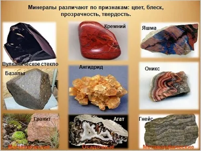 Что такое минералы и горные породы?