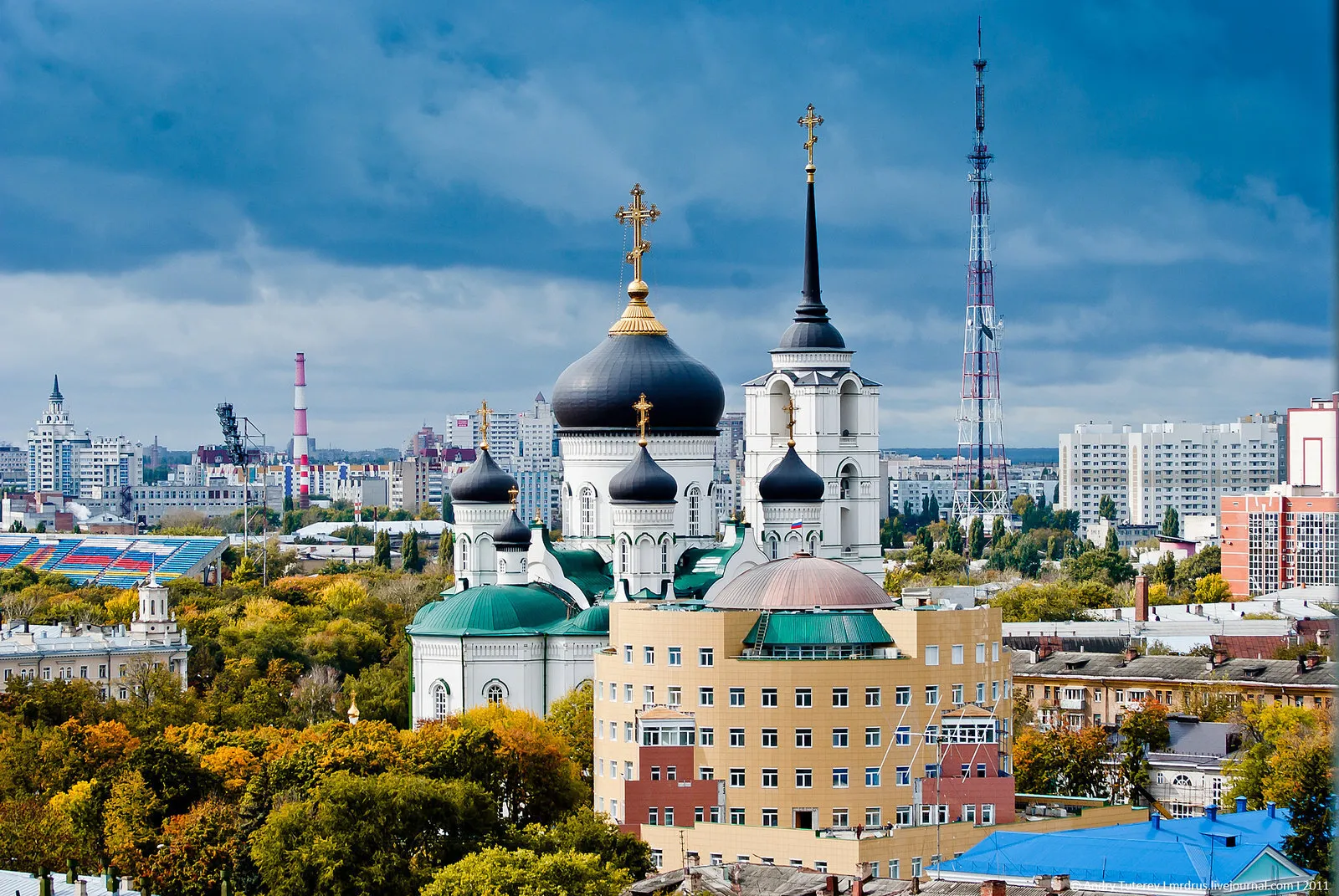 Родной город воронеж. Воронеж столица Черноземья. Воронеж центр. Воронеж центр города.