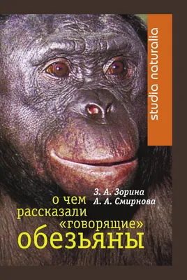 Интерактивное развивающее пособие \"Говорящие картинки. Слушаем и повторяем\"  купить в Екатеринбурге, цена