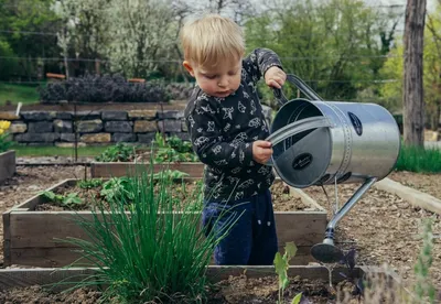 Как сделать детский огород: лайфхаки, советы и план действий – блог  интернет-магазина Порядок.ру