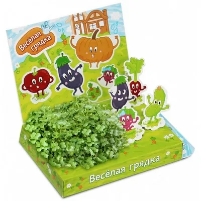 Набор для выращивания «Весёлая грядка» купить в Чите Биология в  интернет-магазине Чита.дети (9751142)