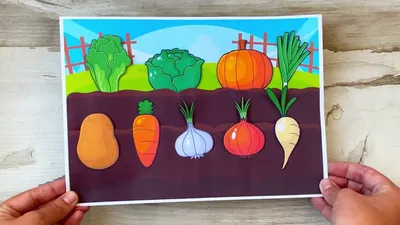 Детская поделка с овощами \"Грядка\". Простые летние поделки с детьми в  садик. Изучаем овощи, развитие - YouTube