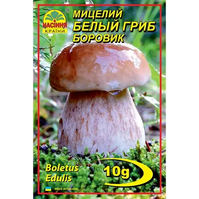 Насіння країни Белый гриб Боровик - 10г