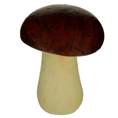 Мицелий Боровик австралийский гриб на зерновом субстрате 15 мл. купить в  Москве, цена в интернет-магазине