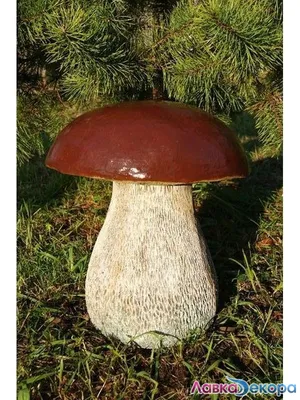 Фигура садовая гриб Боровик 25х19см купить в интернет-магазине ЦУМ-Дисконт