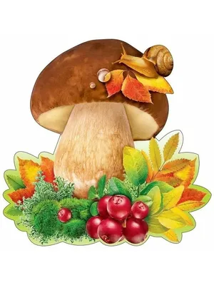 Рисунок белый гриб для детей - 48 фото