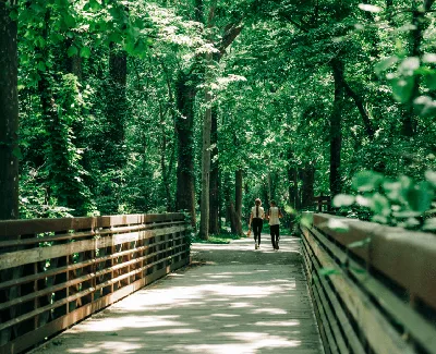 The East Coast Greenway Is Becoming One of America's Most Visited Outdoor  Spaces | Condé Nast Traveler