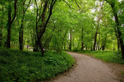 Greenway | Wolf River Conservancy