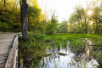 The Great Western Greenway | Westport Bike Hire