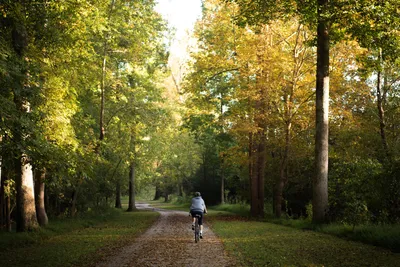 Abernathy Greenway Park - Sandy Springs