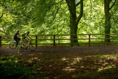 Greenway | Devon | National Trust