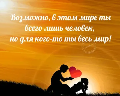 Стихи о собачьей жизни: \"О чём твои мысли, задумчивый пёс?..\".\"