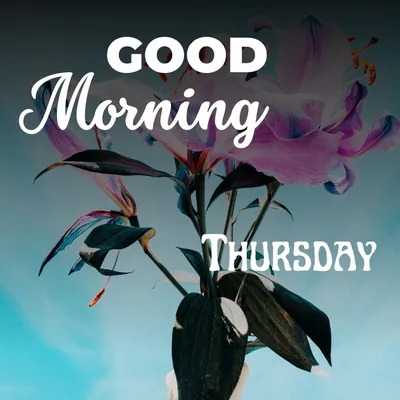 Free and customizable good morning templates