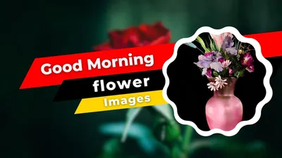 50 Romantic Good Morning Wishes for Your Special One | by Roop Dey | Medium