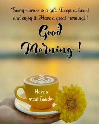 English Good Morning Tuesday Positive Quotes n Text Messages - Good Morning  Wishes and Images