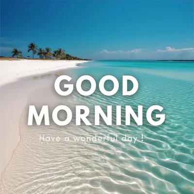 91Good Morning Images - Download the Best of 2024: Good Morning HD images  for Free!