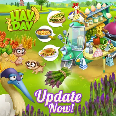 Myhayday has passed over the QR code for those of us that couldn't use the hay  day link. Saving the image to your photo album the holding… | Instagram