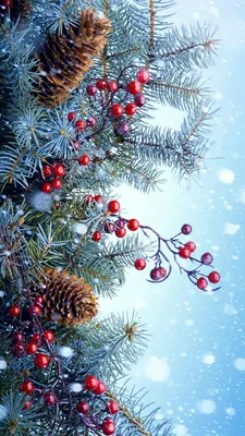 Пин от пользователя John Stauffer на доске Winter | Рождественские  картинки, Рождественские пейзажи, Рождественские иллюстрации