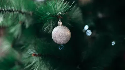 Скачать 1920x1080 шар, украшение, серебристый, елка, новый год, рождество  обои, картинки full hd, hdtv, fhd, 1080p