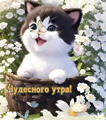 Открытки \"Доброе утро!\" (700+)