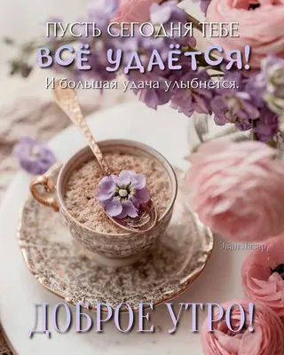 АЛАНА on X: \"@Tatasazonova Доброе утро,Таточка! 😊 ❤️🌹 Спасибо большое!  Тебе тоже хорошего настроения для всех субботних дел!  https://t.co/AsZkFSTtDV\" / X