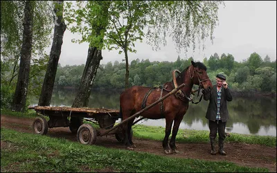 Открытка в честь дня рождения на прикольном фоне для женщины - С любовью,  Mine-Chips.ru