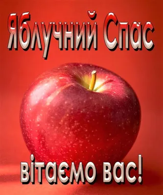 Поездка на праздник «Яблочный спас» :: Новости :: Государственное  автономное учреждение социального обслуживания Свердловской области  «Комплексный центр социального обслуживания населения «Забота» Белоярского  района