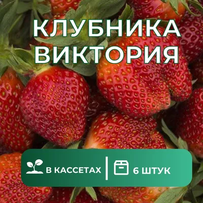 Клубника | Food, Strawberry, Fruit