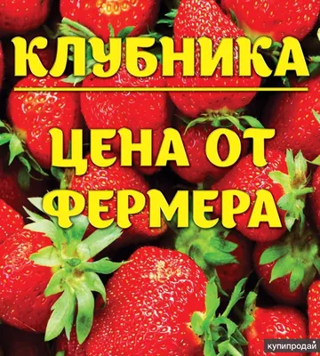 домашняя клубника виктория — объявление в Красноярске. Ягоды, орехи на  интернет-аукционе Au.ru