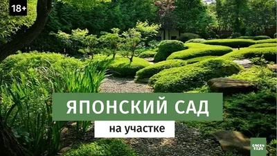 Японские сады Японский сад с камнями и небольшим прудом, архитектура,  Киото, замок фон картинки и Фото для бесплатной загрузки