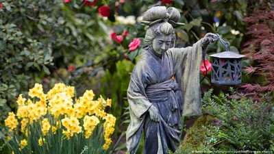 Японский сад | Шесть чувств