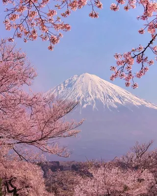 Японский пейзаж - 61 фото | Удивительная природа, Фотография природы,  Пейзажи