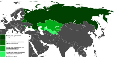 Анатомия : Язык. Строение языка. Мышцы языка. Иннервация, кровоснобжение  языка.