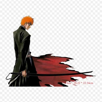 Hot Anime Bleach Thousand Year Blood War Ichigo Kurosaki Bankai Cosplay  Costum # | eBay