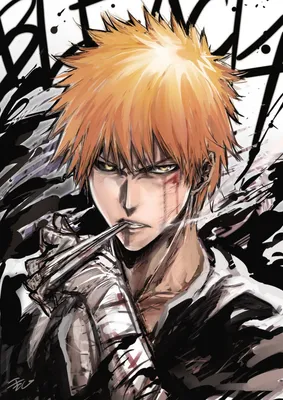 Ichigo Kurosaki/Image Gallery, Bleach Wiki, Fandom, bleach anime wiki