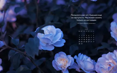 Обои-календарь на июнь 2024 — calendar12.ru