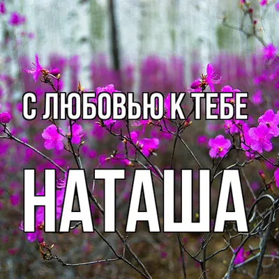 Открытка с днем рождения женщине по имени наташа - фото и картинки  abrakadabra.fun