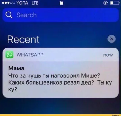 Смешные переписки в WhatsApp, которые поднимут Ваше настроение на весь день  | Из Владивостока с любовью | Дзен