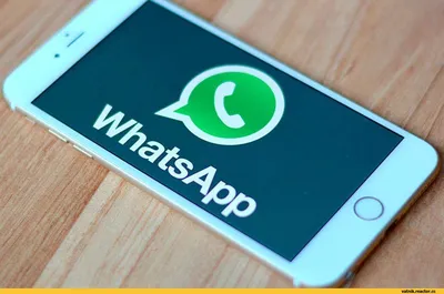 WhatsApp стикеры. Прикольные животные – скачать приложение для Android –  Каталог RuStore