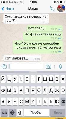 женщина в синей рубашке с красной помадой, красивые аватарки для Whatsapp,  Whatsapp, Whatsapp телефон фон картинки и Фото для бесплатной загрузки