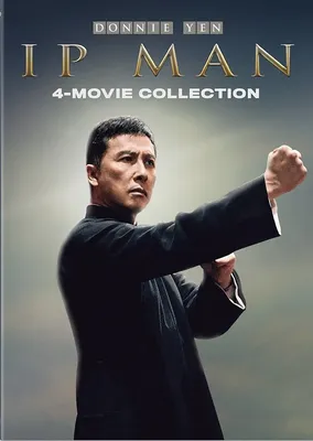 Ip Man\": A dazzling martial-arts epic | Salon.com