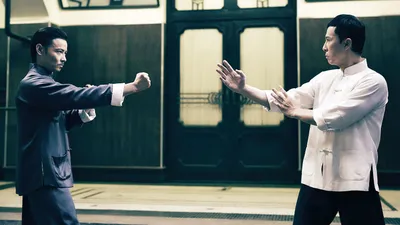 Enterbay - Real Masterpiece - IP MAN | Ip man, Martial arts actor, Donnie  yen