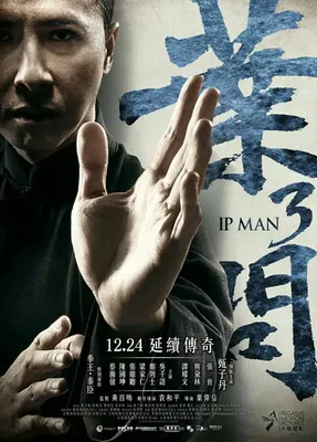 The Legend Is Born: Ip Man | Rotten Tomatoes