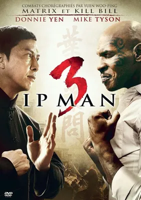 What We Learned About Asian-American History In 'Ip Man 4' – Dynasty  Clothing