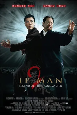 IP MAN Movie Poster Martial Arts Kung Fu Donnie Yen | eBay