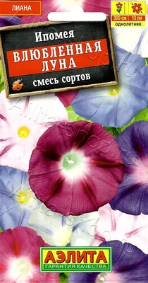 Ипомея перистая (Ipomoea Quamoclit)